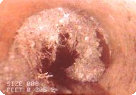 drain cleaning cm2